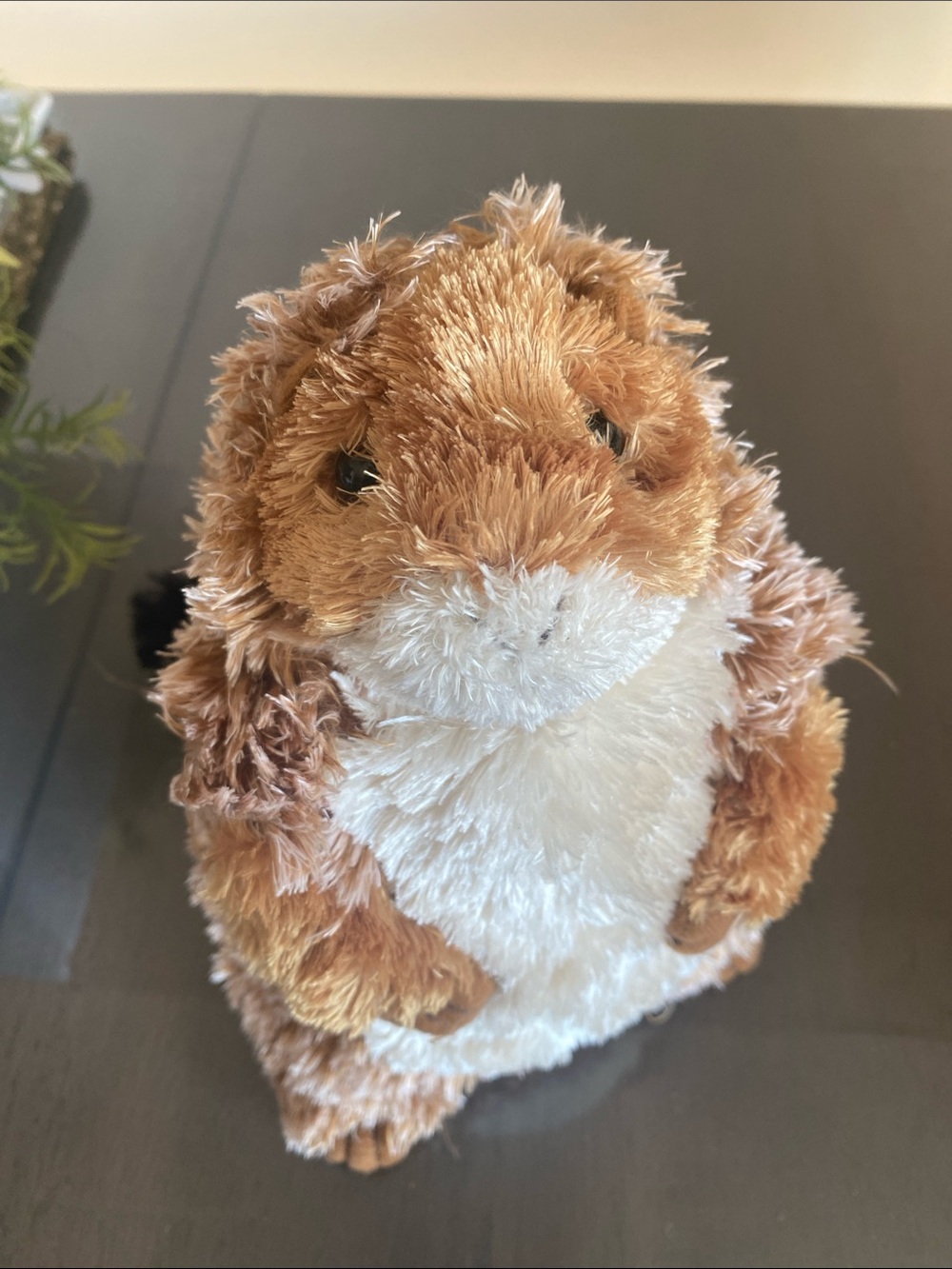 NEW🌈 Douglas Cuddle Toy Groundhog Plush Beanie animal